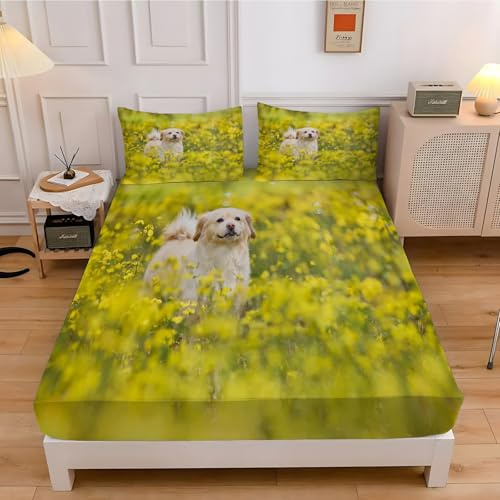 Drap Housse 180x200 RéCupéRateur d'or Drap-Housse Fleurs De Colza Housse de Matelas Microfibre Doux, Drap Poche Profonde 30 cm avec 2 Taies d'oreiller, Protection de Matelas Respirant Antidérapants