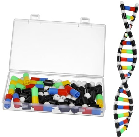 GARIOUANS Modèle et Démontable Interactif à Double Hélice en Plastique et Passionnés des Sciences pour Enseignement Scientifique et Décoration de Salle de Classe des Élèves
