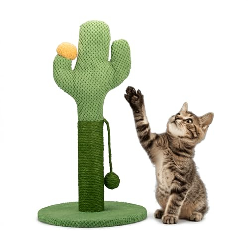 AQPET Griffoir Cactus 54 cm avec Niche pour Chat Arbre Aire de Jeux Tire Rayures pour Chat Vert