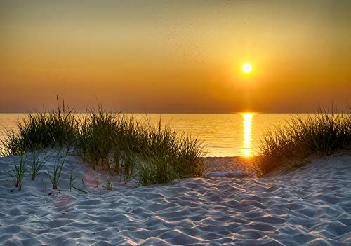 WallArena Vlies Fototapete, Strand, 368x254cm | Fototapeten - Tapeten - für Wohnzimmer Schlafzimmer - Vliestapete Wandtapete Tapete 3D Effekt- inkl. Kleister