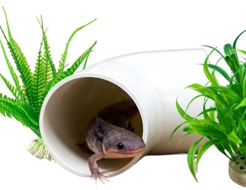 Cueva Ajolote Con Tubo De Plantas Artificiales Y Casa Pequeña | 3 Cuevas de Juguete para Acuario Ajolotes y Peces Destinado a Betta, Bagre, y Camarón Enano. Asoleo, Cría,
