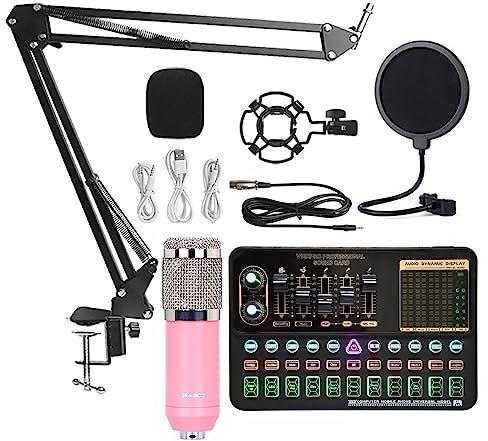 Kit de Carte Son Mixeur Carte Son Studio Mixeur Audio Réduction du Bruit de Chant Microphone Voix Diffusion en Direct Téléphone Ordinateur Enregistrement Configuration du Studio (V10xpro Set A2)