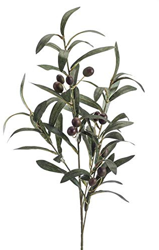 artplants.de Rama de Olivo Artificial Carson Vara de Ajuste, Frutos, 75cm - Rama de árbol Artificial - Olivera sintética