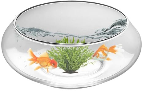 Large Shallow Planter | Glass Hydroponic Clear Large Round Vase - 25cm Bowl Planters for Outdoor Plants | for Narcissus Terrarium Indoor Garden Backyard Patio Lawn Balcony Home