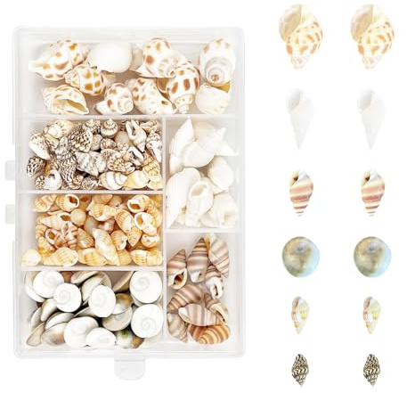 166 Conchas en Espiral, 6 Tipos de Perlas sin Perforar, Naturales para Playa, Manualidades, Relleno de Jarrones y Fiestas Temáticas