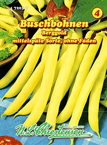 Buschbohnen, Berggold mittel, gelb, ohne Fäden N.L.Chrestensen Samen 472037-B