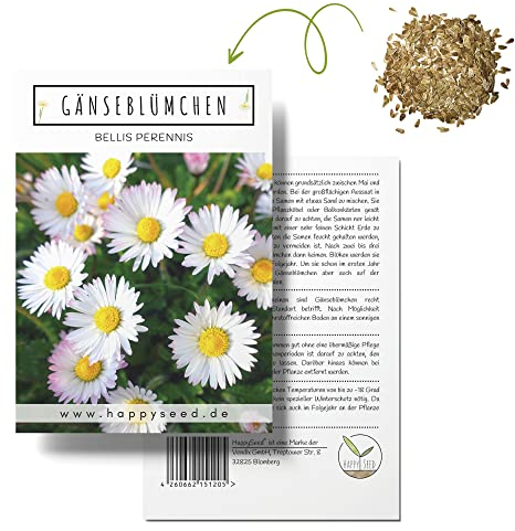 Gänseblümchen Samen (Bellis perennis) - Zarte Blumen mit langer Blütezeit für eine bunte Blumenwiese, das Beet, den Balkon und die Terrasse