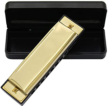 Harmonica 10 Holes 20 Tunes Professional Metal Diatonic Harmonica Beginner Harmonica for Kids and Adults with Hard Case (Gold)