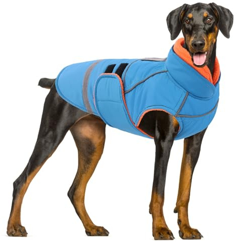 CITÉTOILE Wasserdichter Hundemantel mit Leinenöffnung Blau XL | Zweifarbige Hundejacke mit Klettverschluss, Warm Winter Hundekleidung mit Reflektoren, Wintermantel mit Bauchschutz für Hunde