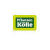 Pflanzen-Kölle